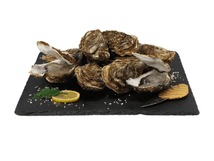 Austern Marenne d’Oleron Nr. 3